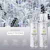 Cross-border Exclusive TAO BEAUTY Fragrance Mist Long-lasting Light Scentwild Rose Vanilla Coconut Shining Lily Perfume Spray