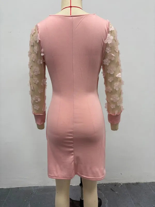 Women's Spring Autumn V-neck Lace Long Sleeve Bodycon Dress
