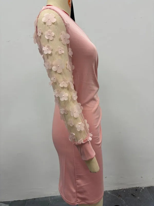 Women's Spring Autumn V-neck Lace Long Sleeve Bodycon Dress